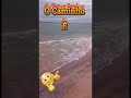 o caminho é jesus #schorts #deustemumapalavrapravoce #viral #mensagem