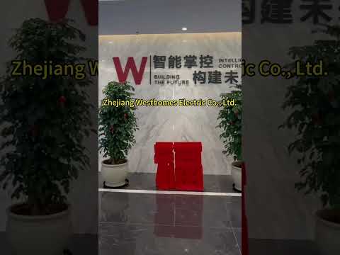 Westhomes Electric 12th Power Energy AFRICA 2025 Mcb Circuitbreaker Westhomes Electric 