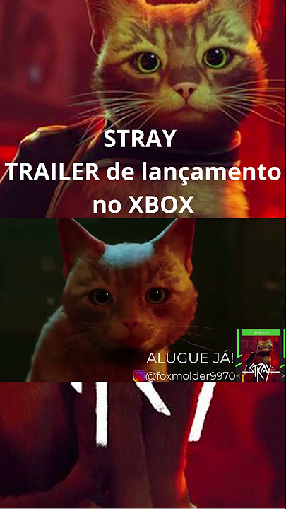 Stray, o jogo do gato, é anunciado para Xbox com data de lançamento e  trailer - Windows Club