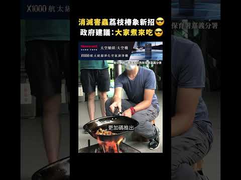 消滅害蟲荔枝椿象新招😎政府建議：大家煮來吃😎｜志祺七七 #shorts