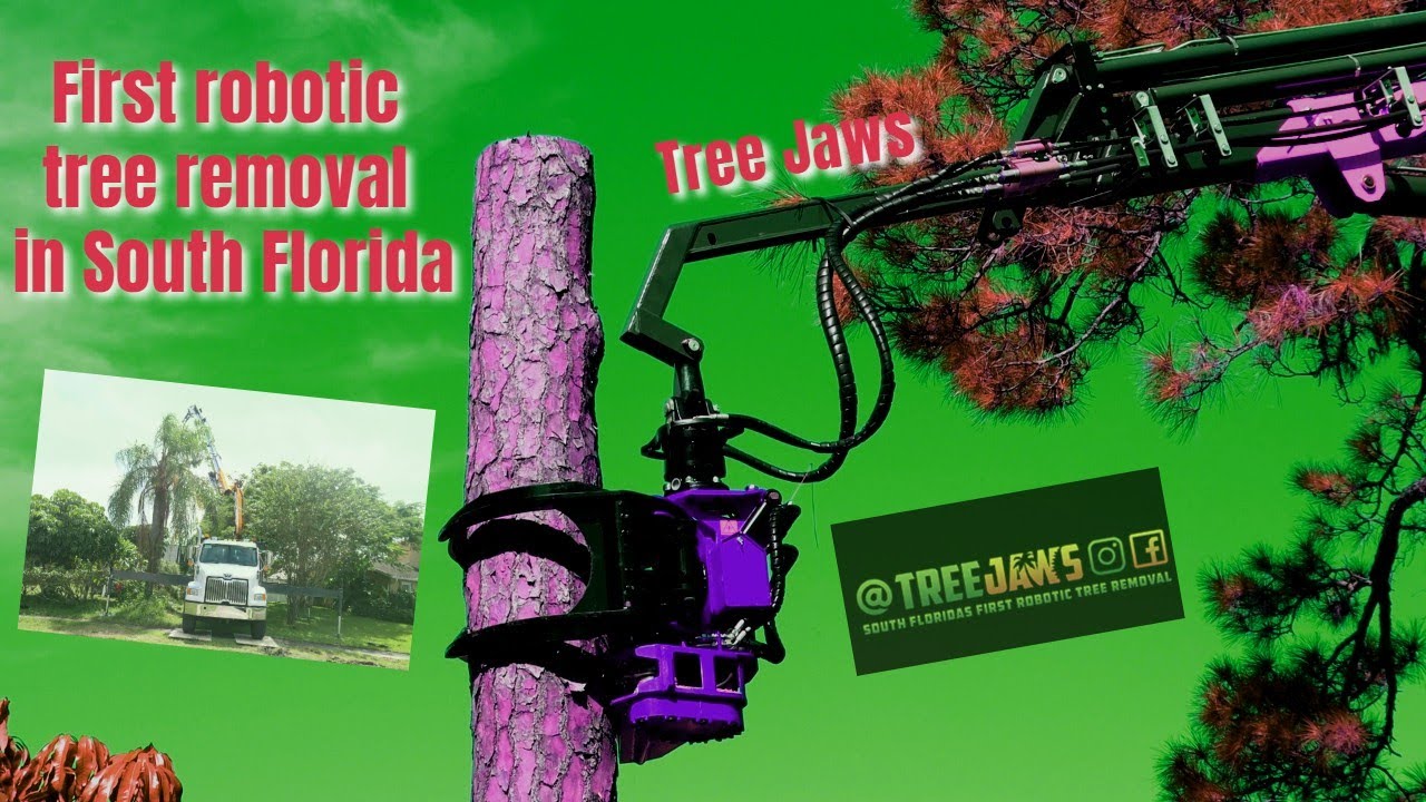 Tree Jaws - tree removal - YouTube