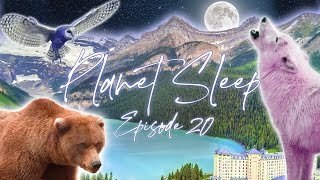 Banff Natl. Park Relaxing Sleep Story Soothing Music & Nature Sounds - Planet Sleep Podcast 20