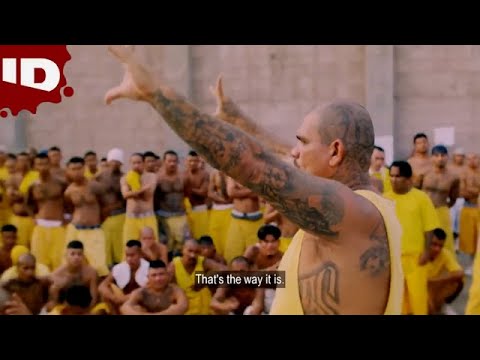【実録】一声で700人のギャングを集め演説を始めるギャングのボス | ギャングの掟 (ID Investigation Discovery ...
