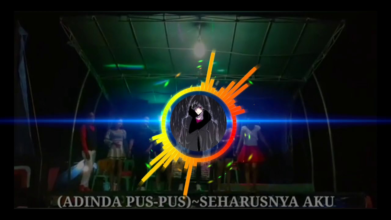 Netral musik 🔴 adinda pus-pus seharusnya aku || Versi remik🤟🤟