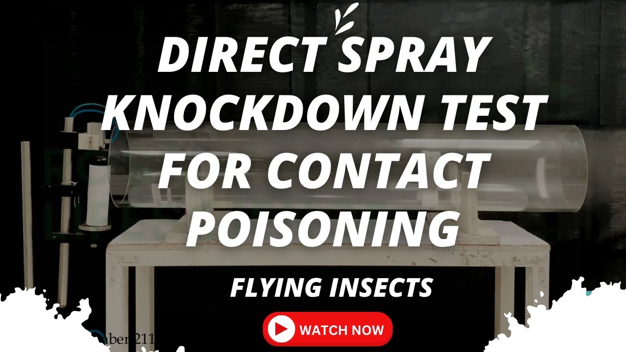 Direct Spray Knockdown with Contact Poisoning for Flying insects YouTube