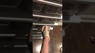 Feeding Baby Blue Line Green Tree Pythons First Meals - Slightly tough feeder 1 Profile