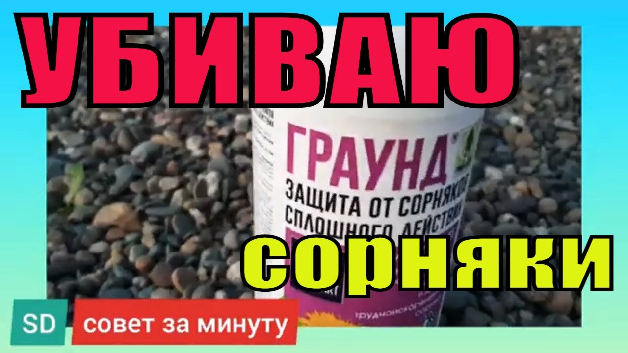 Совет за минуту. Убиваю сорняки! Граунд! Работает! Средство от сорняков.Чем уничтожить сорняки?