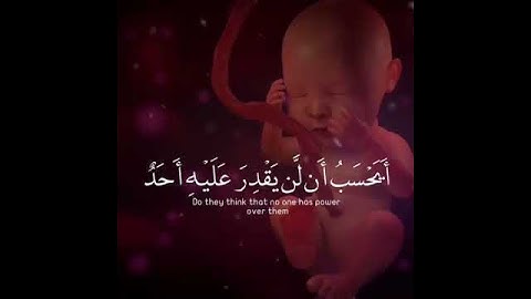 لقد خلقنا الانسان في كبد ||  ماهر المعيقلي || سورة البلد