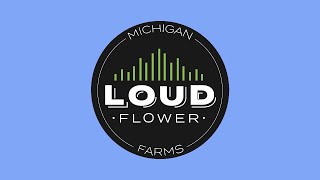 FUEL JAR x TOMMY P LIVE ROSIN FROM MI LOUD FLOWER CONCENTRATE REVIEW
