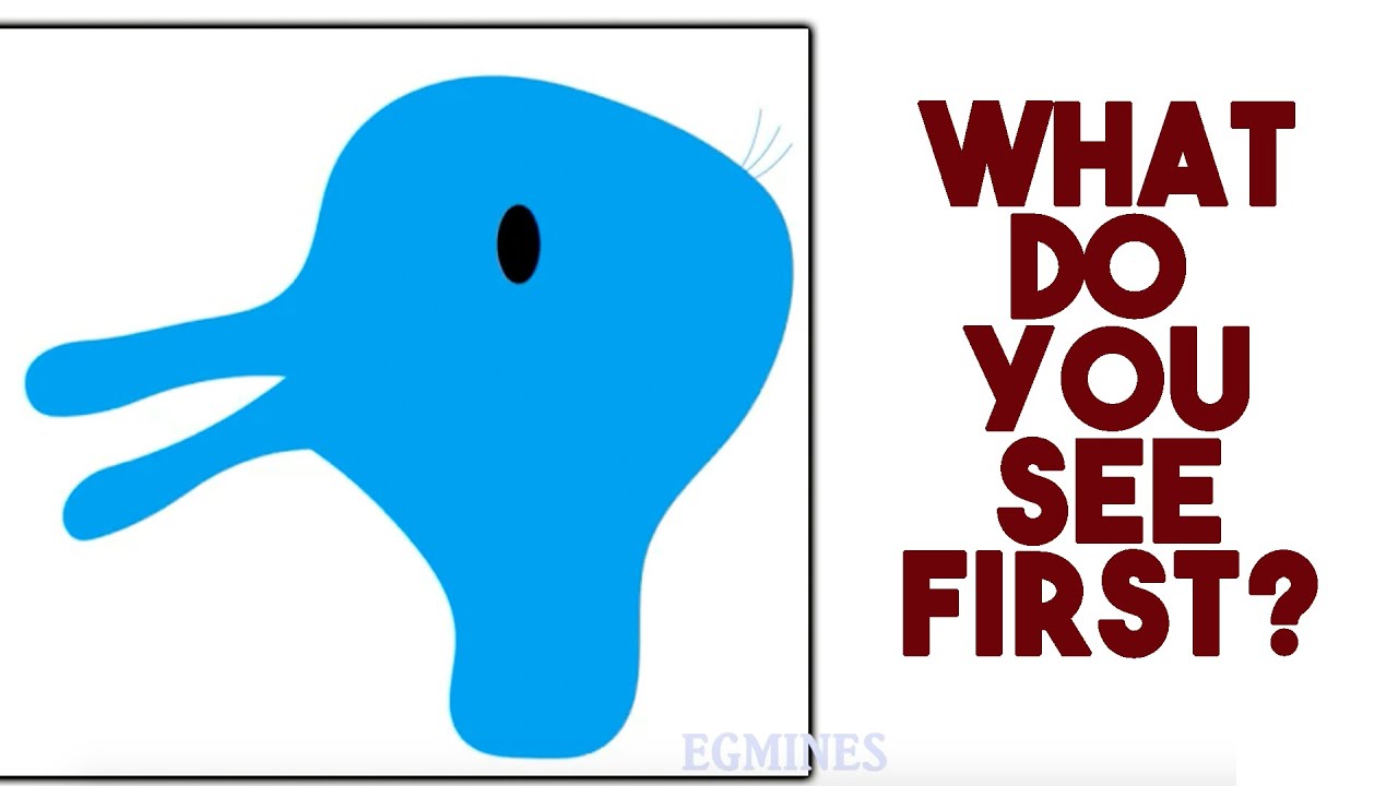 11 IQ, Puzzles And Trick Questions Quiz With Answers