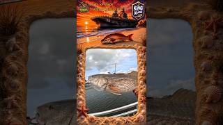 BULL REDFISH EXPLODES on Cut Mullet! 🔥 Bank Fishing the Elizabeth River