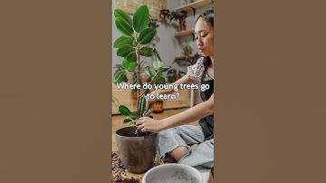 🤣🤣Where do young trees go to learn?😜😜 #jokes #funny #dadjokes #laugh #comedy