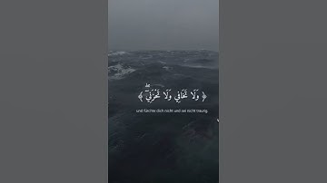 لاتنسى ذكر 📿 الله #قران_كريم #ياسر_الدوسري #سورة_القصص