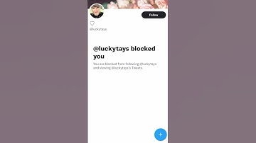 What Does ‘You Can No Longer Send Messages to This Person’ Mean on Twitter 🤔