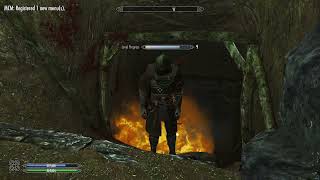 Skyrim Dynamic AI Auto-Healer Mod Test with Animated Potions