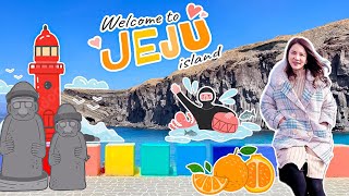 เกาะเชจู เกาหลีใต้ Jeju l EP.5 หลังบ้านStory พาเที่ยว