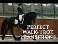 PERFECTING WALK-TROT TRANSITIONS - Dressage Mastery TV Episode 24