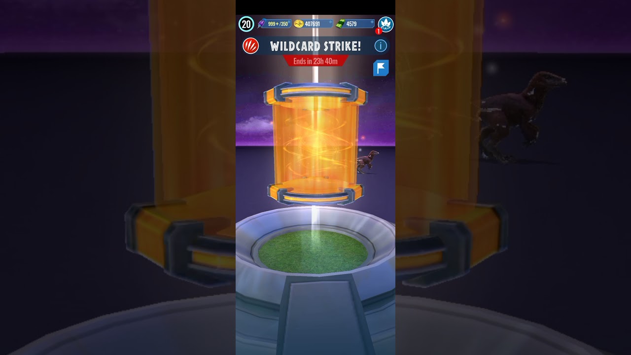 JWA Wildcard Strike 10.10.2021 YouTube