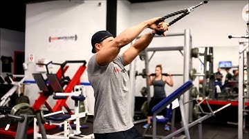 Cable Rope Rear Delt Face Pulls