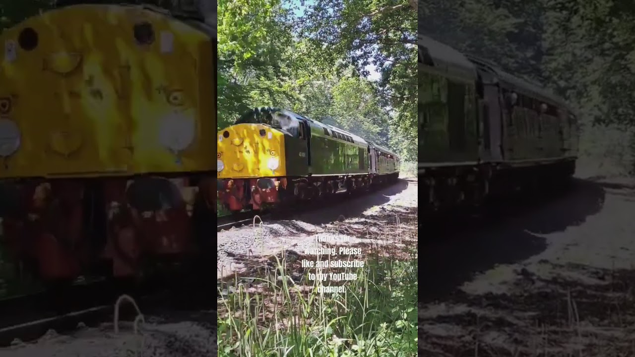 British Railway's Class 40 106 at Trimpley on the SVR 