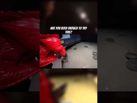 Are You Bold Enough To Try This 