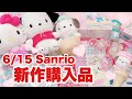 【Sanrio】最速‼️本日発売‼️可愛すぎる