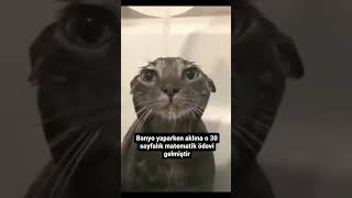 Banyo Yaparken Aklıma 30 Sayfalık Matematik Ödevi Gelmiştir