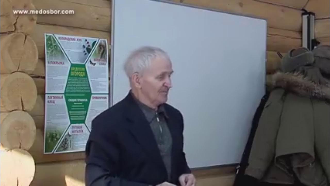 Лекции профессора кашковского. Кашковский пчеловодство. Пчеловодство кашковский лекции. Пчеловодство кашковский лекции. В г кашковский профессор.