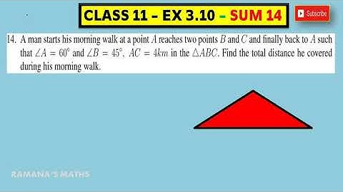 CLASS 11 - EX 3.10 - SUM 14