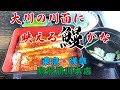【東京グルメ】浅草で200年の歴史を刻む『駒形前川』本店の席から見える素晴らしい景色を眺めて鰻を食す