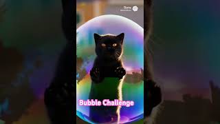 Bubble Challenge gone wrong #catsofyoutube #cat #entertaininganimals #subscribe #funnyanimals