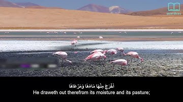 سورة النازعات   ياسر الدوسري   مترجم Surah An Nazi'at   Quran  English subtitles