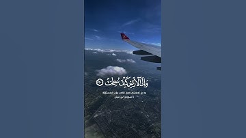 أفلا ينظرون إلى الإبل كيف خلقت | الآية 17 من سورة الغاشية / القارئ عبد الرحمن مسعد