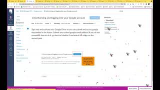 Assignment Text Entry Submission