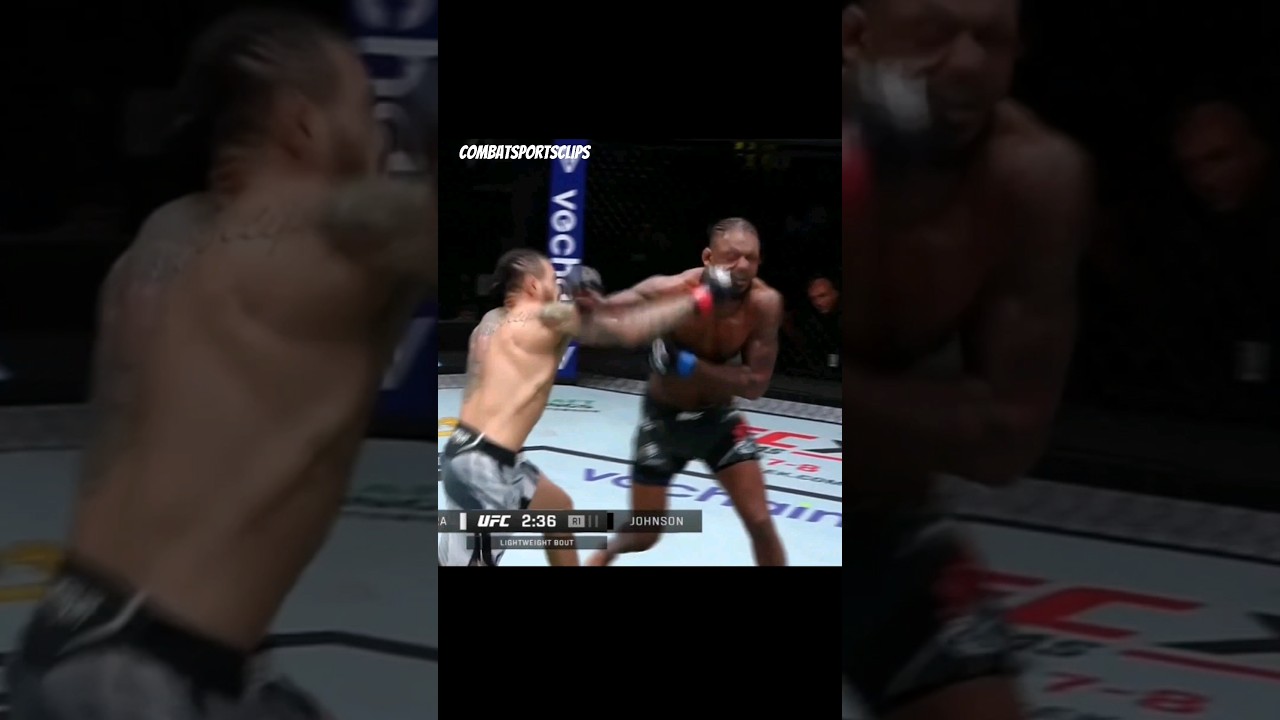 Diego Ferreira's Stunning Knockout VS Michael Johnson.                      