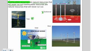 adaptation & environment
