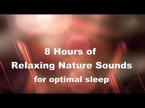 Escape to Paradise: 8 Hours of Soothing Nature Sounds of Forest River ...