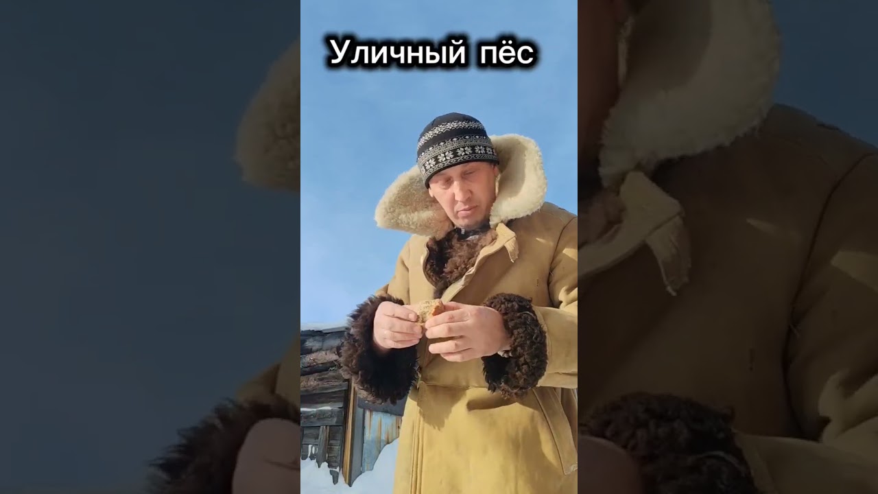 Уличный пес или домашний?