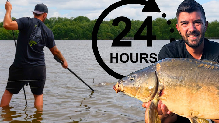 24 hours of FISHING on a pond with high FISHING pressure!
