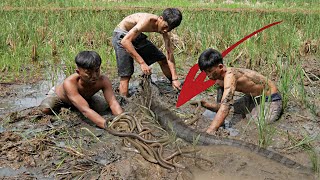 HORRIBLE!!! The intention to find eels instead got a giant Javanese anaconda