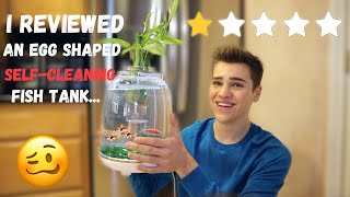 THIS AQUARIUM CLEANS ITSELF? *Self-Cleaning Fish Tank Set-up AND Review*