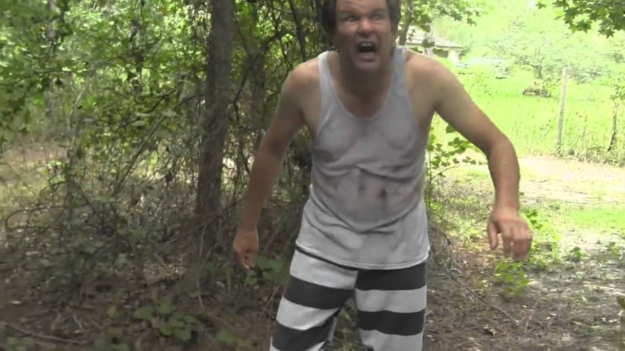 Lost in The Forest (OFFICIAL MUSIC VIDEO) - Chewin' Trees