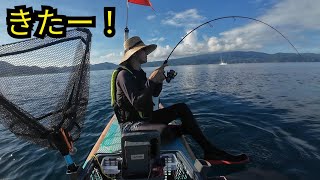 静岡海釣り遠征0818夏のサップフィッシング大好き😁