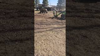 #dontmindme We're just sweeping the #lawn over here.#lawncare #treemanagement #treeservice #tree