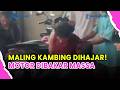 🔵 VIRAL! MOTOR MALING KAMBING DIBAKAR WARGA USAI TERTANGKAP DI SINDANG JAYA