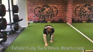 Reverse Bear Crawl