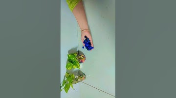 Beads Marble Sound Reverse  #asmr #shorts  #satisfying #short