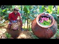 Morning food  ice rice drinks  how to make  healthy  village style  in easy way   sunda kanchi