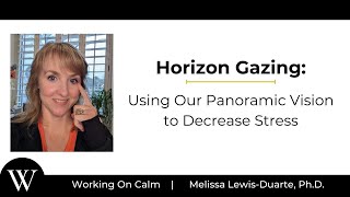 Horizon Gazing Using Our Panoramic Vision To Decrease Stress