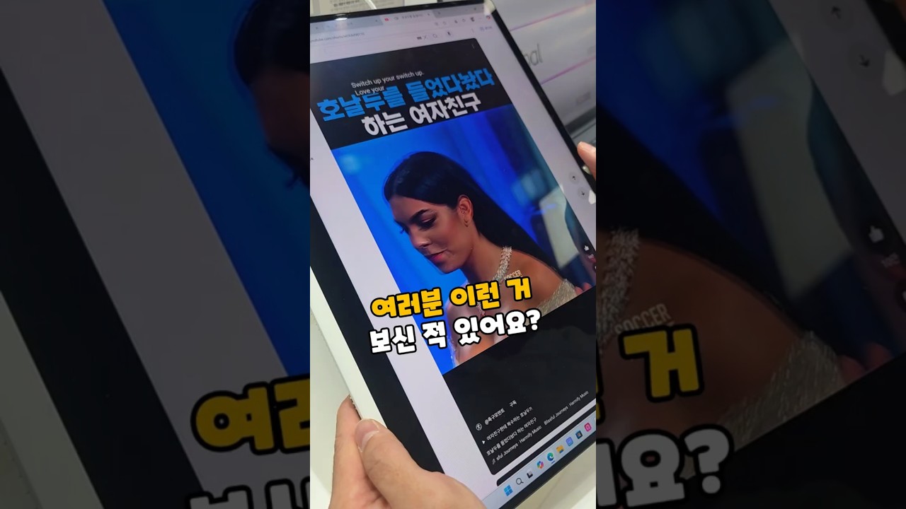 여러분 이런거 보신적 있어요? LG 그램프로 360